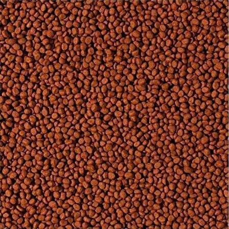 Tropical Cichlid Carnivore Small Pellet 1000 Gram Küçük Granül Balık Yemi