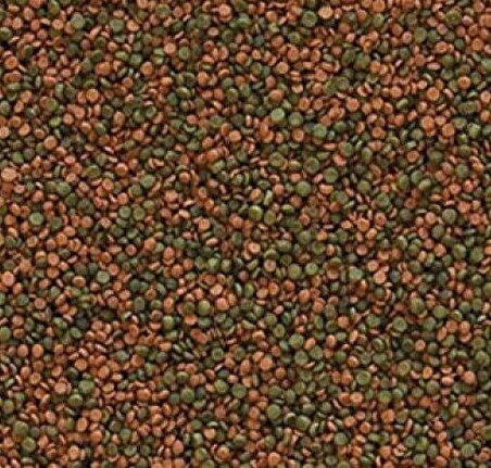 Tropical Cichlid Gran 500 gr Kovadan Bölme Balık Yemi