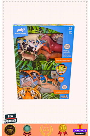 Oyun Kumu Ve Deniz Hayvan Kalıplı 500gr Kız Erkek Çocuk Oyuncakları Eğitici Oyuncaklar