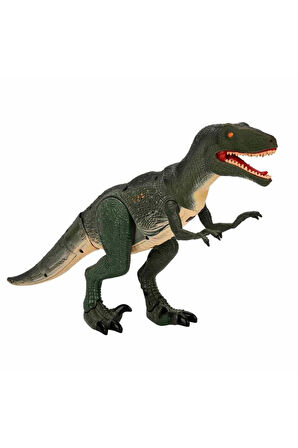 1982 Infrared Kumandalı Sesli Ve Işıklı Hareketli Dinozor Kız Erkek Çocuk Oyuncakları Eğitici