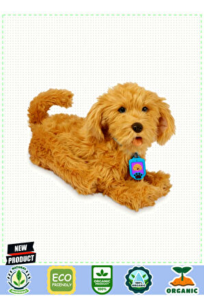 Lmn154 3 Parça Bateri Seti -limon Oyuncak Kız Erkek Çocuk Oyuncakları Eğitici Oyuncaklar