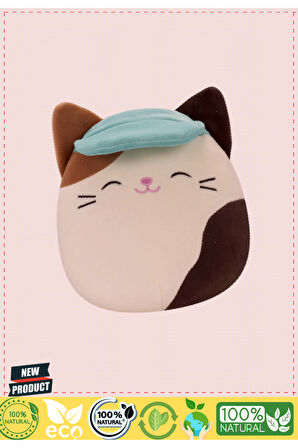 Squishmallowwww Şapkalı Kedi Cam 20cm Kız Erkek Çocuk Oyuncakları Eğitici Oyuncaklar