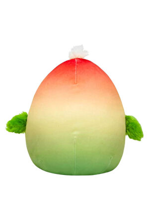 Squishmallowwww Papağan Elliene 20cm Kız Erkek Çocuk Oyuncakları Eğitici Oyuncaklar