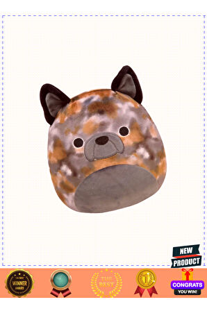 Squishmallowwww Fransız Buldog Ballis 20cm Kız Erkek Çocuk Oyuncakları Eğitici Oyuncaklar