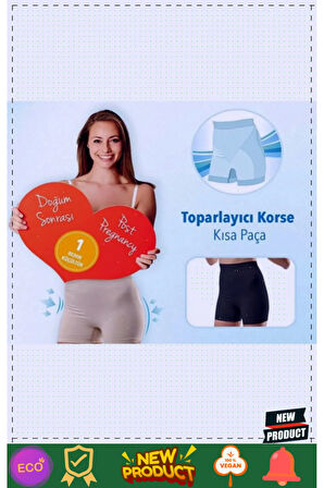 Şişme Zıplama Top Havuzu 155x142x145cm Kız Erkek Çocuk Oyuncakları Eğitici Oyuncaklar