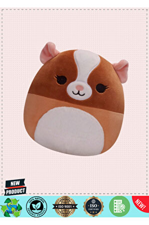 Squishmallowwww Ginepig Garret 20cm 5 Litre Kız Erkek Çocuk Oyuncakları Eğitici Oyuncaklar