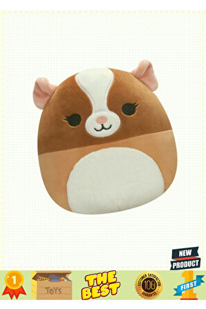 Squishmallowwww Ginepig Garret 20cm 5 Litre Kız Erkek Çocuk Oyuncakları Eğitici Oyuncaklar