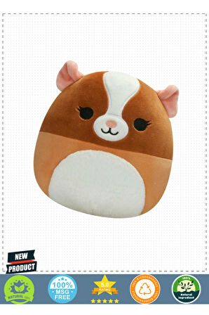 Squishmallowwww Ginepig Garret 20cm 5 Litre Kız Erkek Çocuk Oyuncakları Eğitici Oyuncaklar