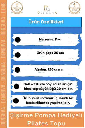 Profesyonel Seri Dayanıklı Yüksek Kalite Mini Gymball 20cm Turuncu Pilates Topu Şişirme Pompa Hediye