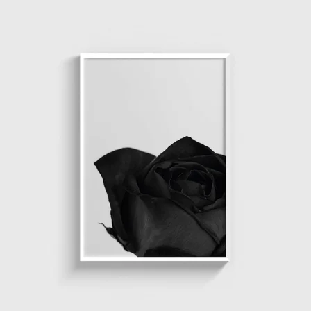 Black Rose Tablo Çerçeveli Poster Duvar Dekorasyonu