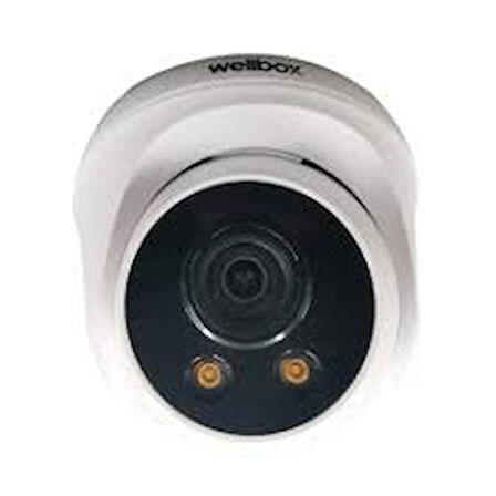  Wellbox WB-D2116P-STR 2 MP AHD İç Mekan Dome Kamera