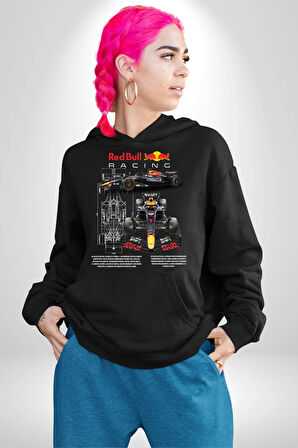 Red Bull Racing RB19 Yarış Arabası Kadın Erkek  Siyah Kapüşonlu Sweatshirt Hoodie
