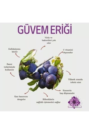30 Adet Dağ (Güvem-Domuz) Eriği Tohumu