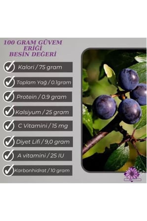 30 Adet Dağ (Güvem-Domuz) Eriği Tohumu