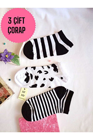 3 ÇİFT PAMUKLU PATİK ÇORAP DİKİŞSİZ KISA KONÇ DESENLİ KADIN ÇORABI 36-40 BEYAZ SİYAH