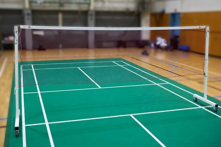 Delux Serisi Rekabet Spor Turnuva BSA-29 Badminton Filesi ( KR-199 )