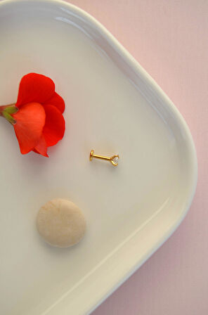 Kalp Tektaş Cerrahi Çelik Piercing Tragus Helix Kıkırdak Lob Conch Dudak