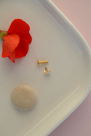 Kalp Tektaş Cerrahi Çelik Piercing Tragus Helix Kıkırdak Lob Conch Dudak