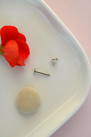 Kalp Tektaş Cerrahi Çelik Piercing Tragus Helix Kıkırdak Lob Conch Dudak