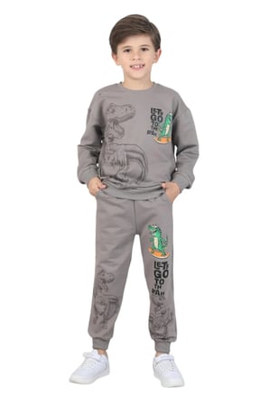 Erkek çocuk dinozor baskılı pijama takımı iki iplik eşofman takımı okul ikili takım — Taş