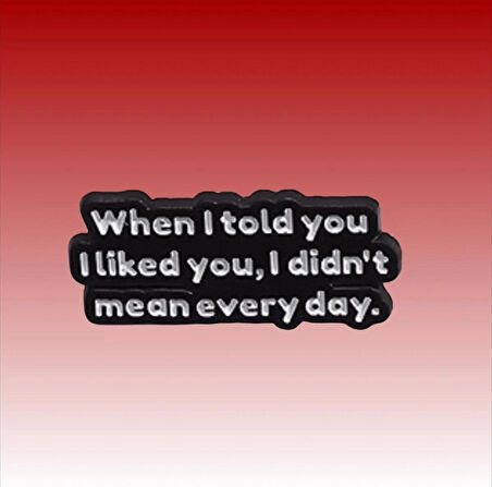 when I Told You, I Liked You, I Didn't Mean Everyday Yazılı Broş