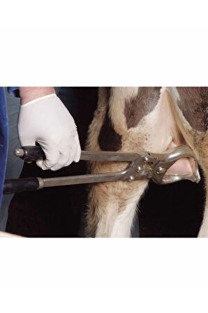 Dana Burma (burdizo) Pensi 48 Cm