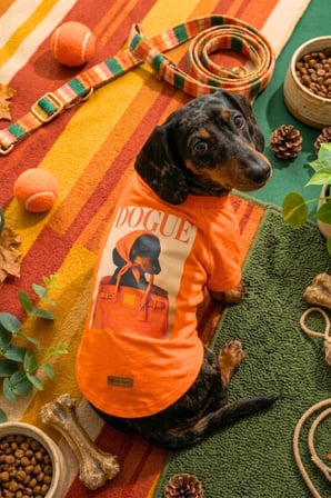 Köpek Tişörtü, Pamuklu Penye Kumaş, Küçük ve Orta Irklar İçin İdeal Dogue Baskılı Köpek Tişörtü