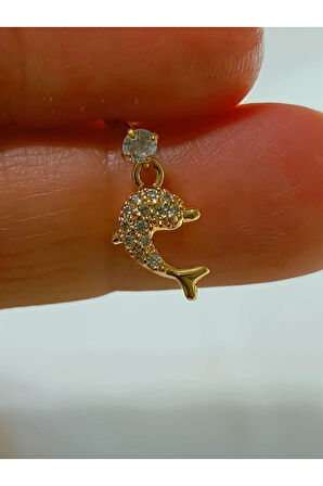 Cerrahi Çelik Sallantılı Altın Yunus Zirkon Tragus Helix Conch Piercing