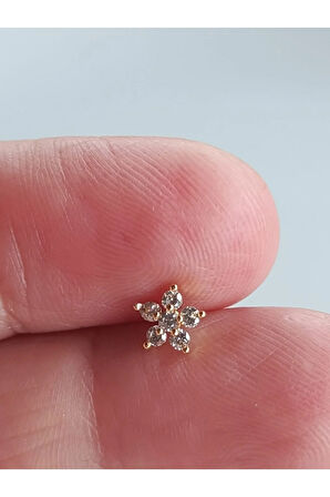 Cerrahi Çelik Zirkon Taşlı Altın Çiçek Tragus Helix Conch Piercing