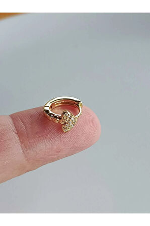 Cerrahi Çelik Zirkon Taşlı Altın Küçük Kalp Halka Tragus Helix Conch Piercing