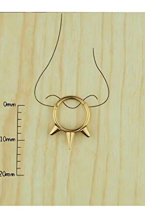 Spayk kilitli Altın halka piercing