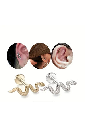 Yılan Çelik Tragus Helix Conch Piercing