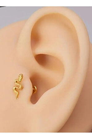 Yılan Altın Tragus Helix Conch Piercing