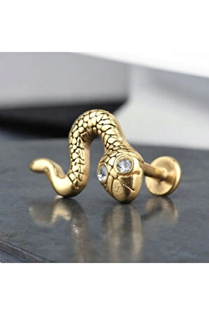 Cerrahi Çelik Yılan Zirkon Göz Altın Tragus Helix Piercing