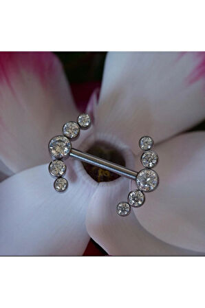 Tiara Çelik Piercing