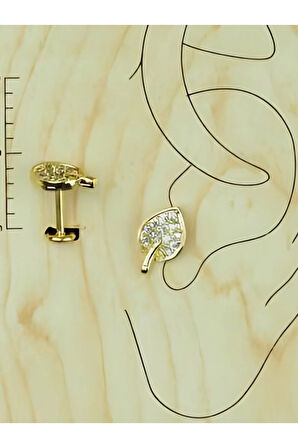 Cerrahi Çelik Yaprak Kristal Zirkon Altın Tragus Piercing