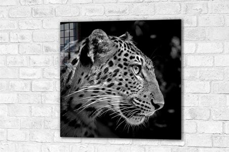 DCHCA4875 - Cam Baskı Kare Tablo / Leopar - 50 x 50 cm