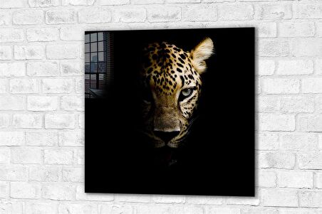 DCHCA4888 - Cam Baskı Kare Tablo / Leopar - 60 x 60 cm