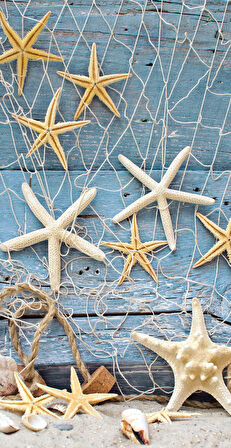 Plaj havlusu, Deniz Havlusu, Şezlong Havlusu, Baskılı Havlu, 80 x 150 cm