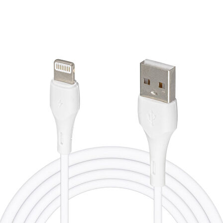 WK-22019 USB TO LIGHTNING ŞARJ KABLOSU (NO:5) (4172)