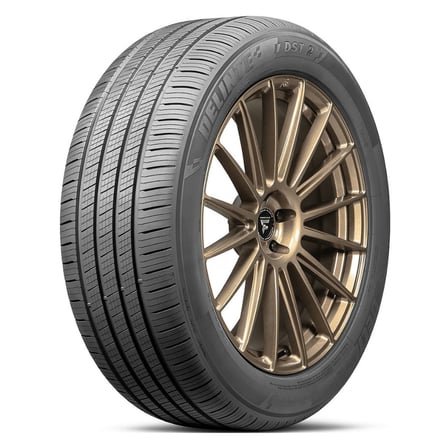 225/60R18 100V DST2