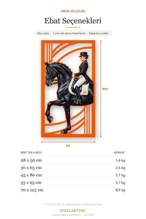 Terbiye Atında Zarif Binici Metal Tablo 36x65 cm