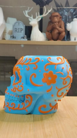 KURU KAFA KALEMLİK