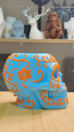 KURU KAFA KALEMLİK