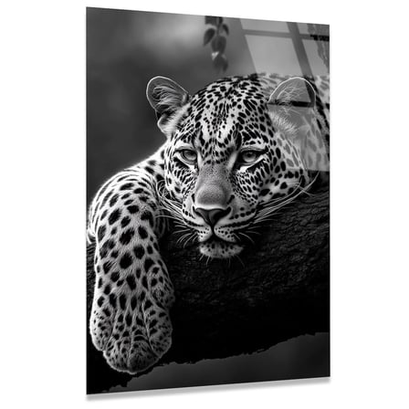 Yorgun Aslan Cam Tablo 35x50 cm