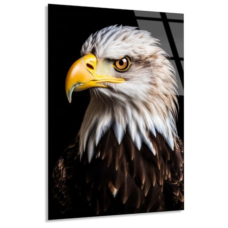 Beyaz Başlı Kartal Cam Tablo – Hayvan Duvar Dekoru 35x50 cm