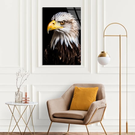 Beyaz Başlı Kartal Cam Tablo – Hayvan Duvar Dekoru 35x50 cm