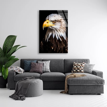 Beyaz Başlı Kartal Cam Tablo – Hayvan Duvar Dekoru 35x50 cm