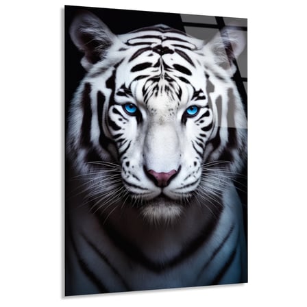 Mavi Gözlü Beyaz Kaplan Cam Tablo 35x50 cm