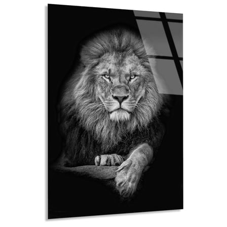 Siyah Beyaz Aslan Cam Tablo 35x50 cm